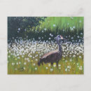 Recherche de oiseau migrateur cartes postales Grue