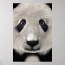 Search for cute kawaii posters Black