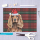 Search for dog tissue paper Pets