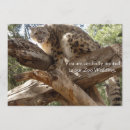 Search for zoo wedding invitations Exotic