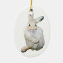 Search for hare ornaments Cute