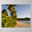Search for tropical climate posters Island