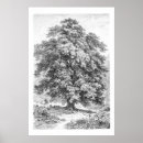 Recherche de dessin arbre posters Simple