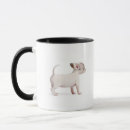 Recherche de chiots de chiwawa tasses Chien
