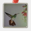 Recherche de birds ornements Animal