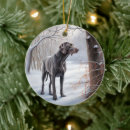 Recherche de weimaraner ornaments Noël