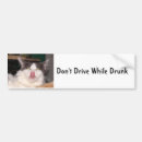 Search for drunk driving bumper stickers Drinking