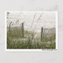 Search for beach grass postcards Seaside