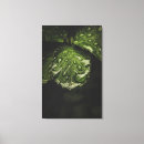 Search for dew art Green