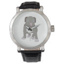 Search for pitbulls watches Pet