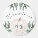 Search for patch magnets Pumpkin