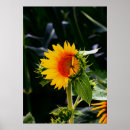 Search for sunflower posters Mom