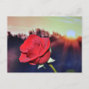 Recherche de image cartes postales Floral