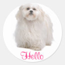 Recherche de shih tzu dog stickers Chiot