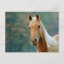 Recherche de agriculture cartes invitations Chute