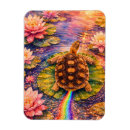 Search for turtle magnets Tortoise