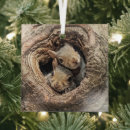 Recherche de écureuil de ornements Bois