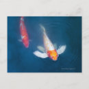 Recherche de étang de koi Baignade
