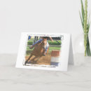 Search for barrel racing cards Equine