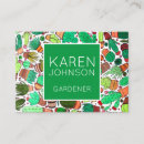 Search for houseplant business cards Cacti
