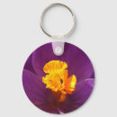 Recherche de stamens Macro