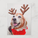 Search for dog panting cards Domestic animals