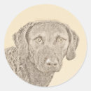 Search for chesapeake stickers Chessie
