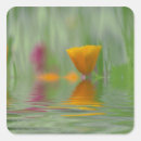 Search for close stickers Botanical