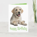 Search for yellow lab birthday cards Labrador retriever
