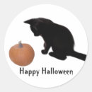Search for black kittens stickers Happy halloween