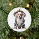 Search for chinese crested dog ornaments Pet