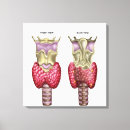 Search for larynx Healthcare