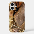 Recherche de porc iphone coques Agriculture