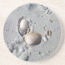 Search for beach shells coasters Beachy