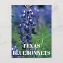 Search for state flower Blue flowers