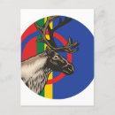 Search for sami postcards Reindeer