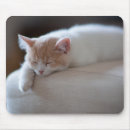 Search for closed mousepads Baby animals