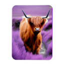 Recherche de bovin magnets Vache à haute altitude