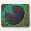 Recherche de plumes paon tapis souris Animaux