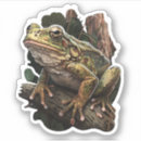 Search for i love frogs stickers Nature