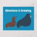 Recherche de fluke posters Sea lion