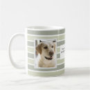 Recherche de green stripe mugs Moderne
