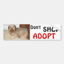 Search for animal photos bumper stickers Labrador retriever