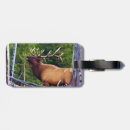 Search for bull elk accessories Animals