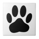 Recherche de chien blanc carreaux Animal