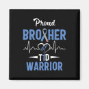Search for brother design magnets T1d