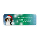 Search for beagles return address labels Puppy