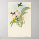 Recherche de ornithologie posters Aquarelle