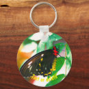 Search for butterfly on black keychains Insect