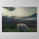 Search for ireland landscape posters Irish